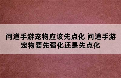 问道手游宠物应该先点化 问道手游宠物要先强化还是先点化